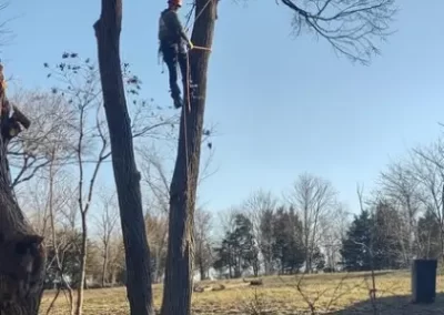 Landscaping Services
