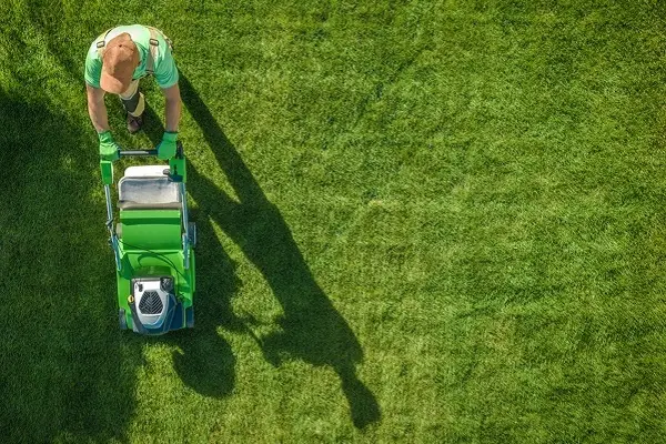 Lawn Mowing Service