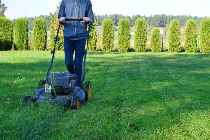 Excellent Lawn Mowing Service Ennis TX