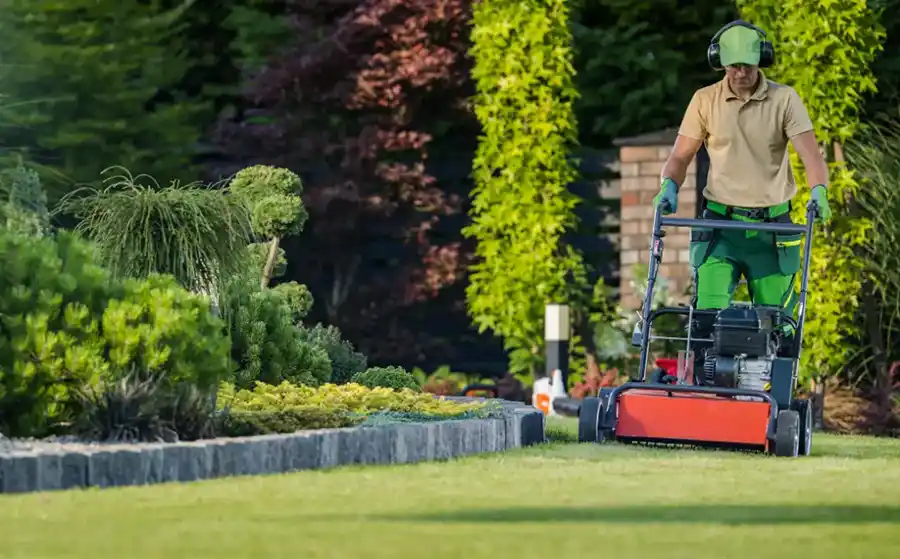How To Adjust Lawn Mowing Practices For Different Grass Types Ennis TX