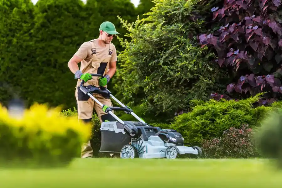How To Adjust Lawn Mowing Practices For Different Grass Types in Ennis TX