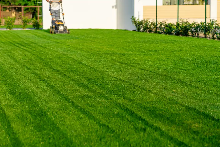 Local Lawn Mowing Service Ennis TX