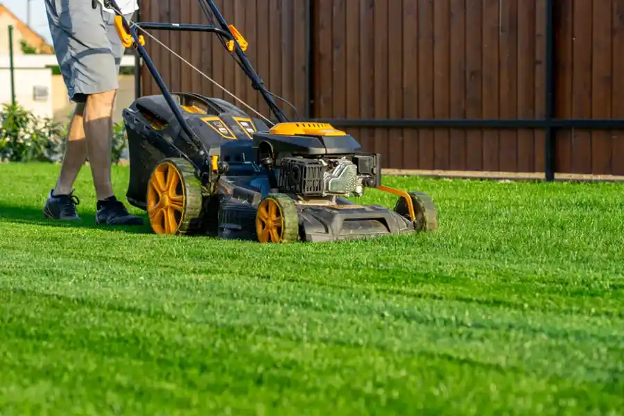 Tips For Choosing The Right Lawn Mowing Service For Your Yard in Ennis TX